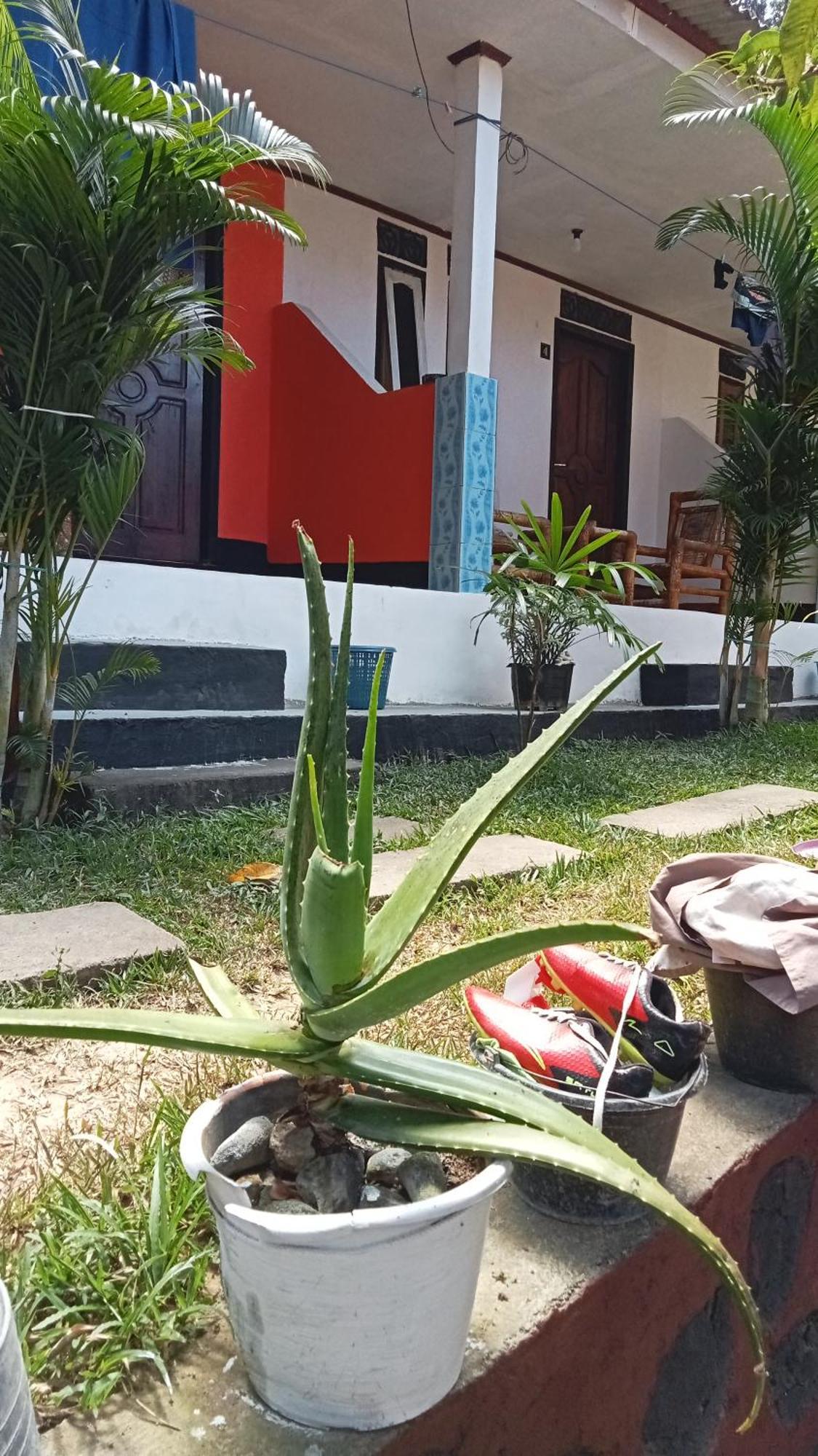 Roy Homestay Kuta Kuta  Exterior foto